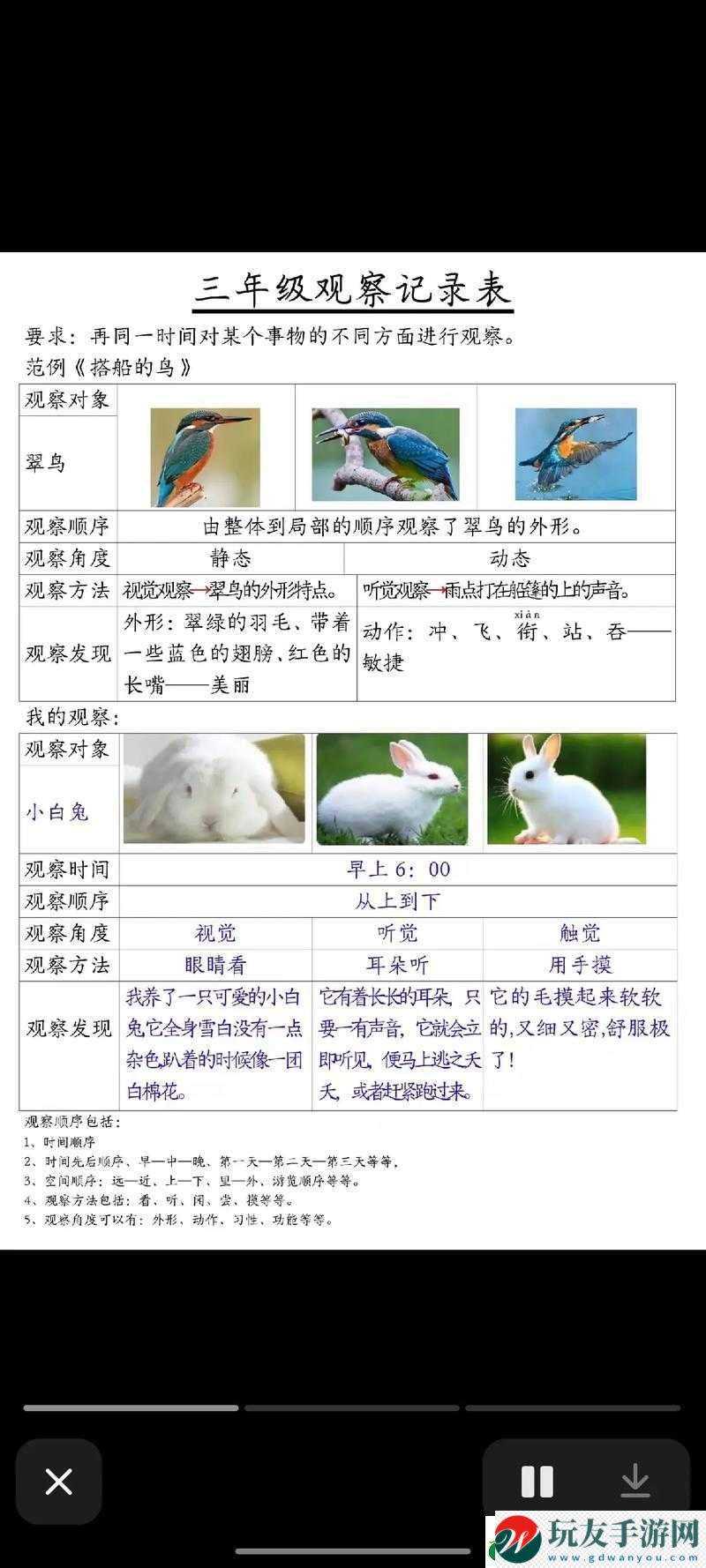 雛鳥幼兒小學(xué)生短視頻：成長記錄