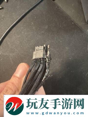 全球首例