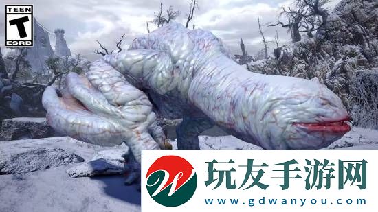 本站